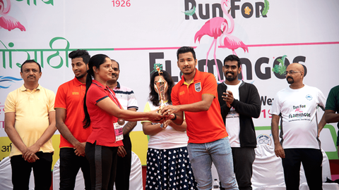 Run for Flamingos!
