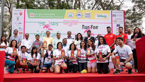 Run for Flamingos!