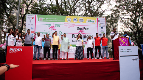 Run for Flamingos!