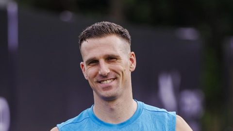 New Colours in Training