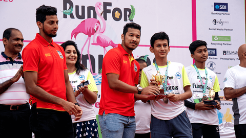 Run for Flamingos!