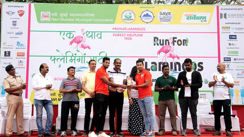 Run for Flamingos!