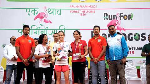 Run for Flamingos!