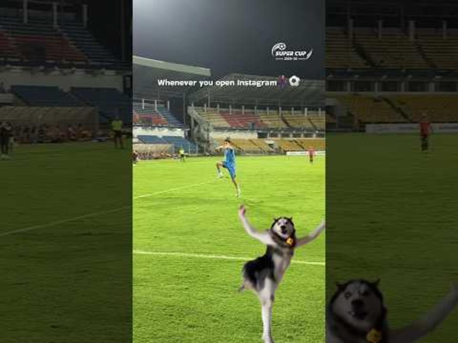 we-got-the-vikram-paaji-x-dogesh-bhai-collab-before-gta-vi.Click to read full article.