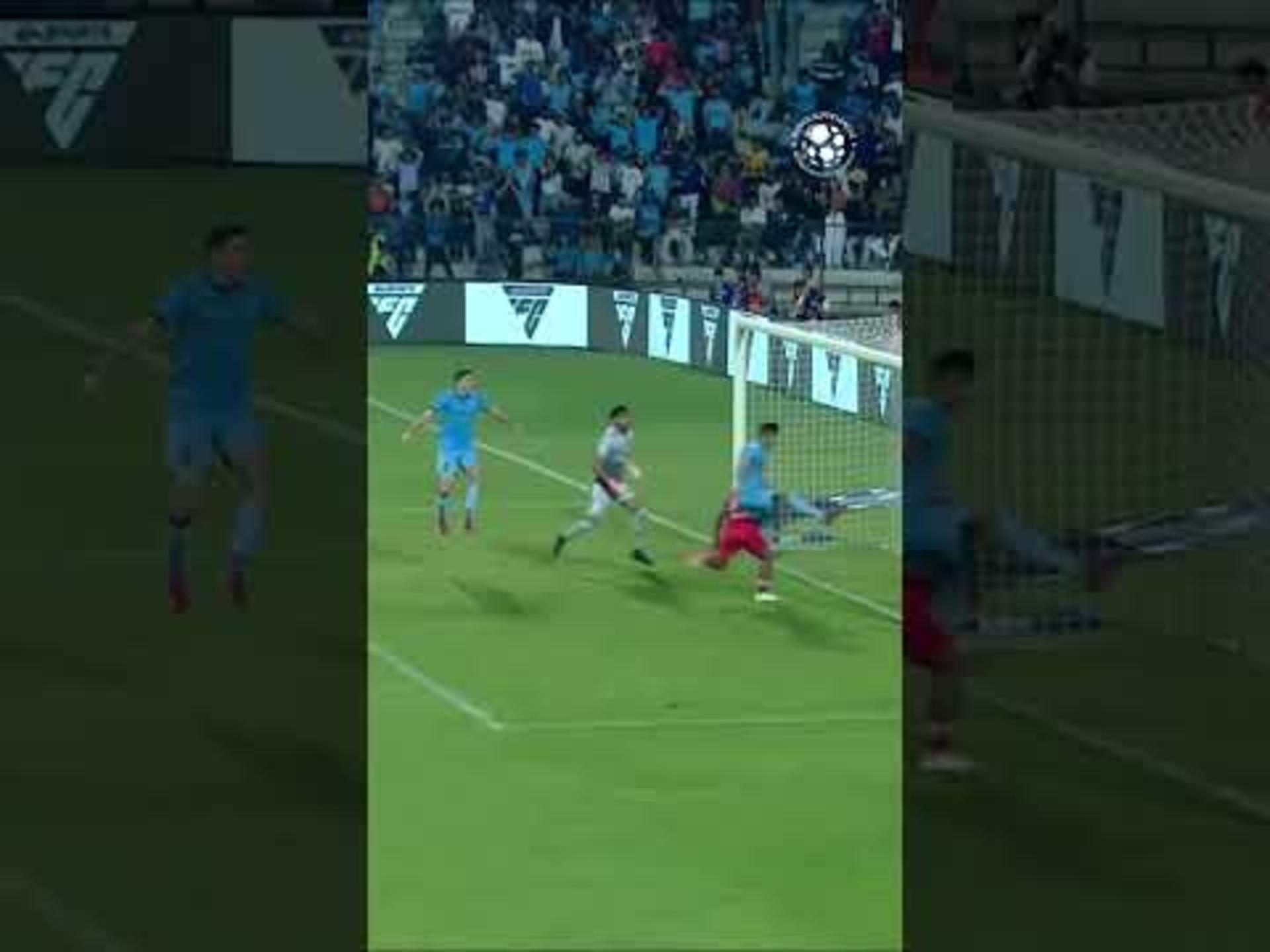 resilience-at-its-best-on-display.Click to read full article.